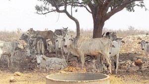 _e53dde40-2cb3-11e6-85eb-521f5a9851b5