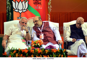 new-delhi-india-9th-aug-2014-bharatiya-janata-party-bjp-president-e5yprt